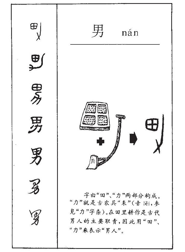 男字字源字形