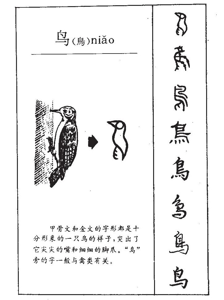 鸟字字源字形