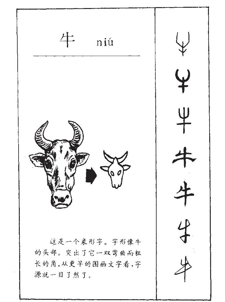 牛字字源字形