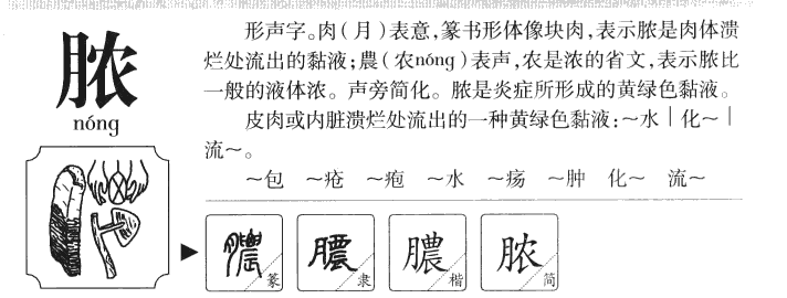 脓字字源字形