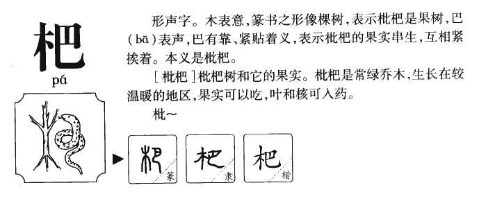 杷字字源字形