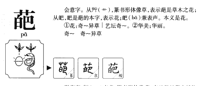 葩字字源字形