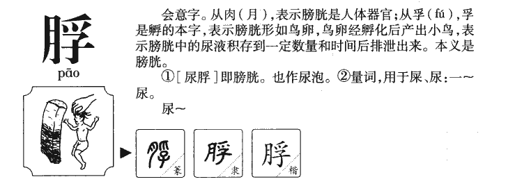 脬字字源字形
