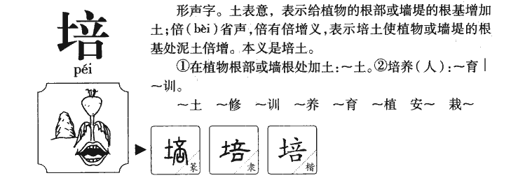 培字字源字形