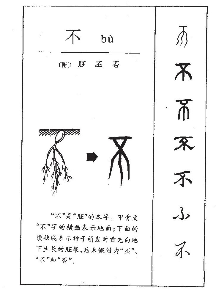 丕字字源字形