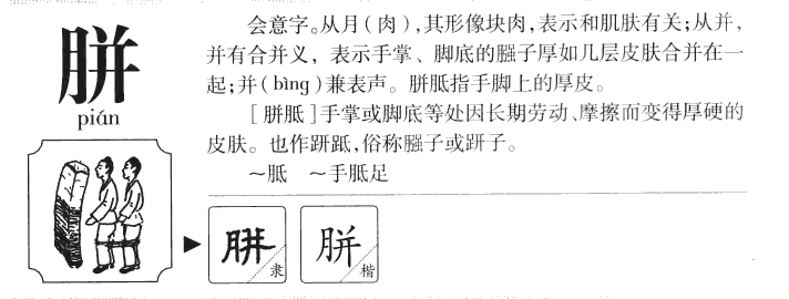 胼字字源字形