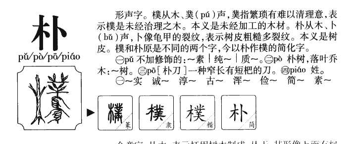朴字字源字形