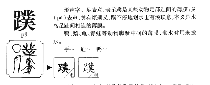 蹼字字源字形