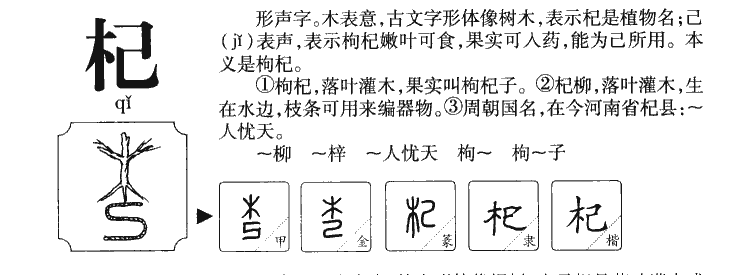 杞字字源字形
