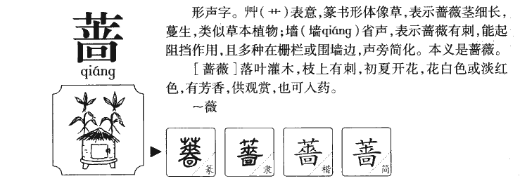 蔷字字源字形