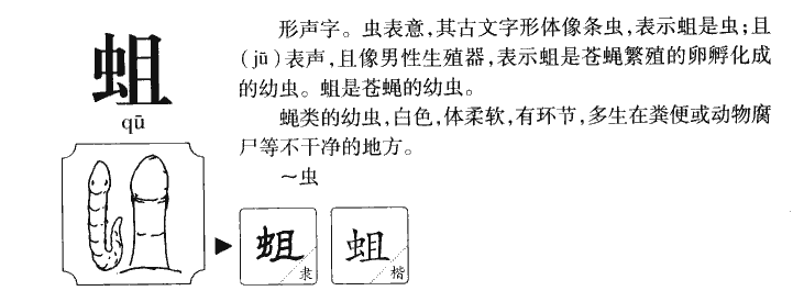 蛆字字源字形