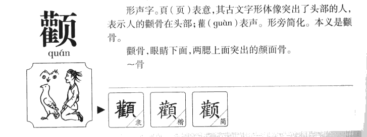 颧字字源字形