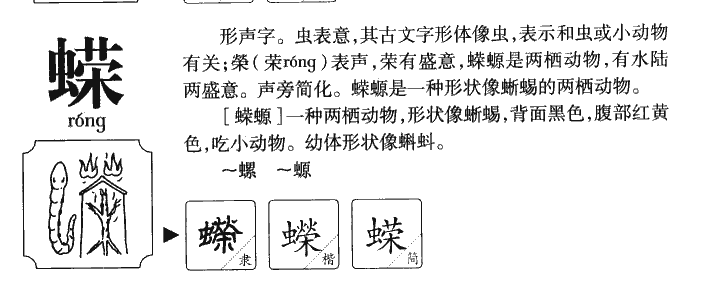 蝾字字源字形