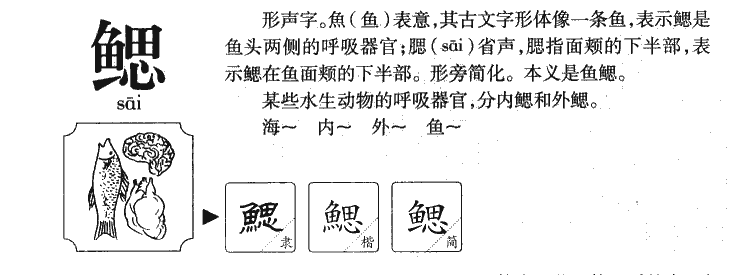 鳃字字源字形