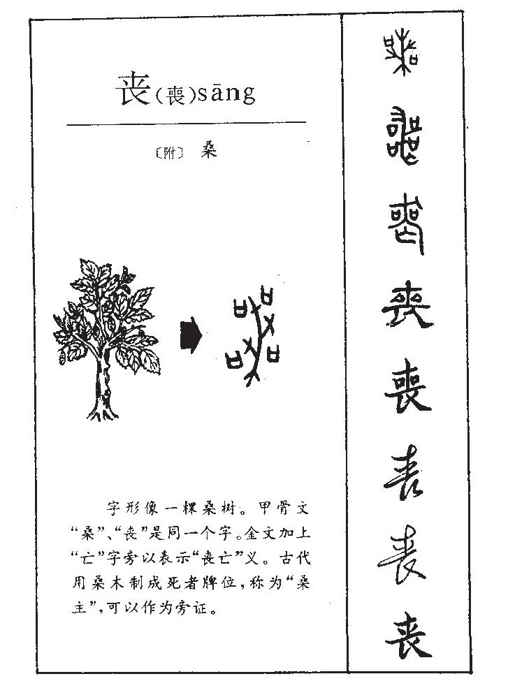 丧字字源字形
