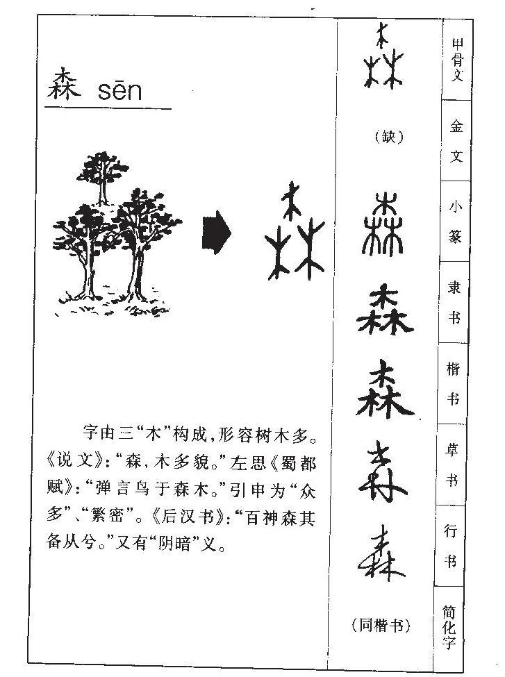 森字字源字形