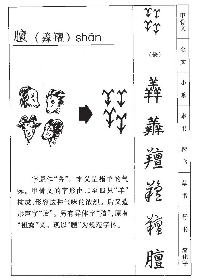 膻字字源字形