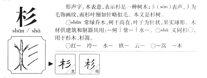 杉字字源字形