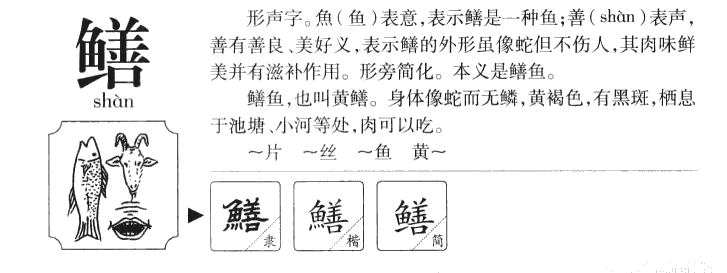 鳝字字源字形