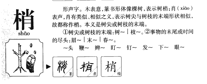 梢字字源字形