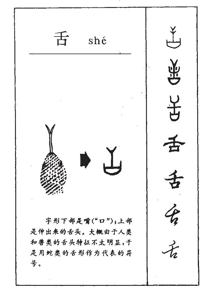 舌字字源字形