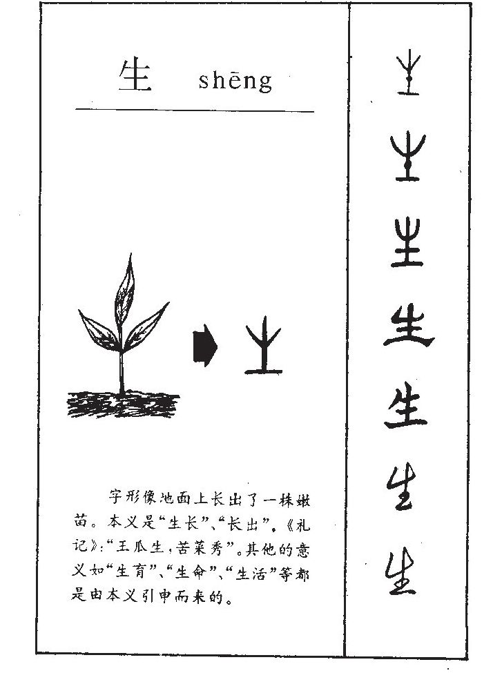 生字字源字形