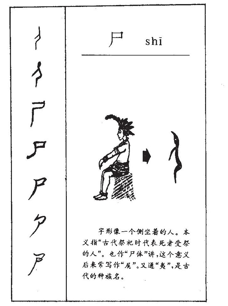 尸字字源字形
