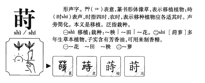 莳字字源字形