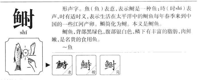 鲥字字源字形