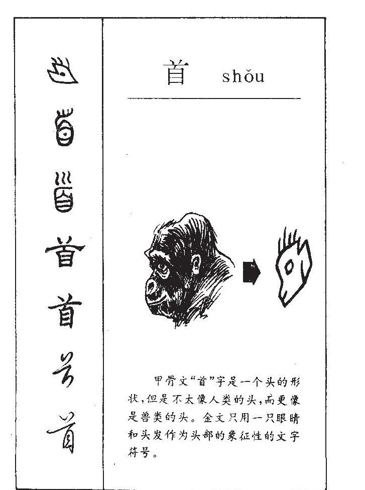 首字字源字形