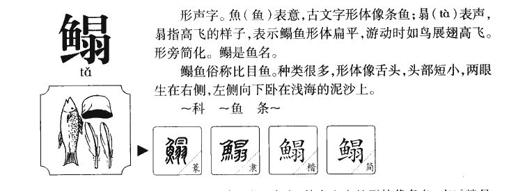 鳎字字源字形