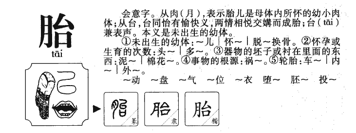 胎字字源字形