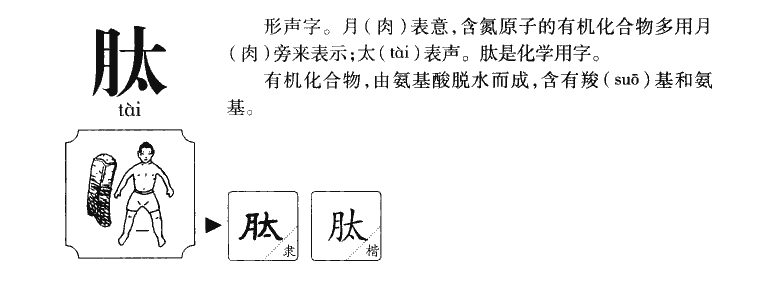 肽字字源字形