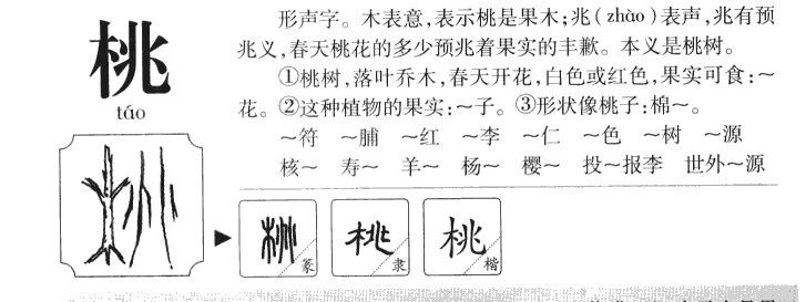 桃字字源字形