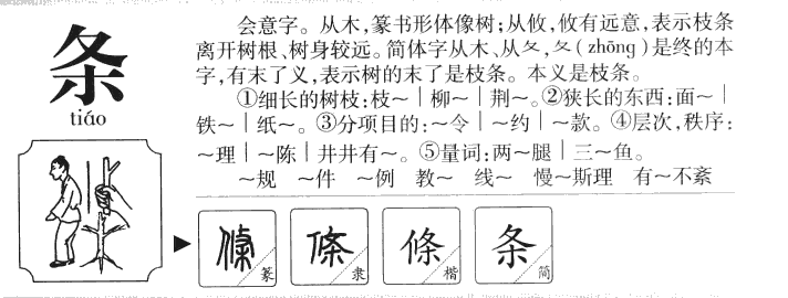 条字字源字形