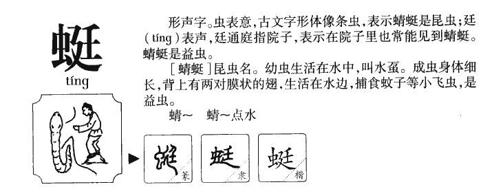 蜓字字源字形