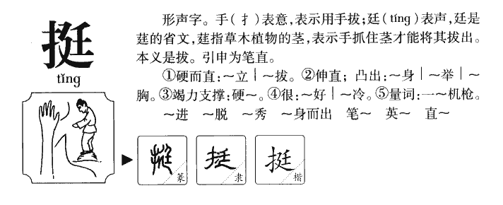 挺字字源字形