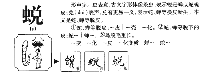 蜕字字源字形