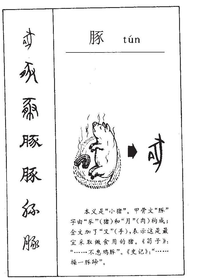 豚字字源字形