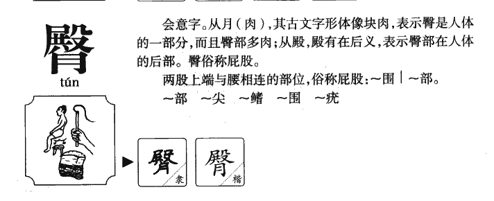 臀字字源字形