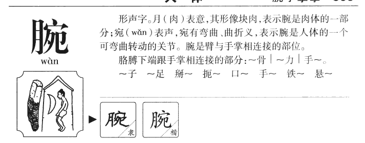 腕字字源字形