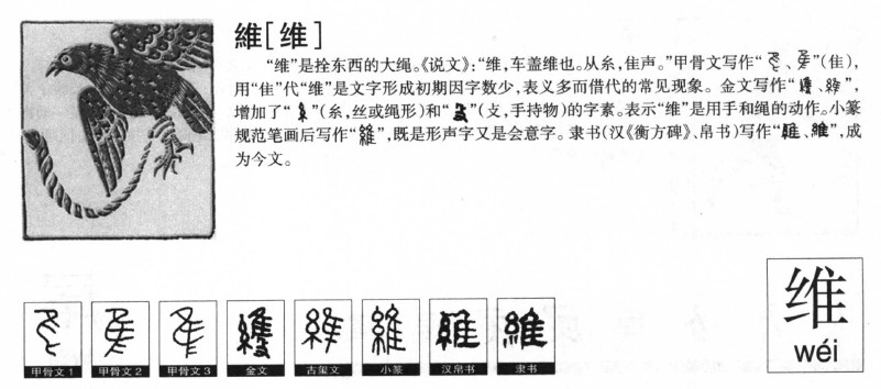 维字字源字形