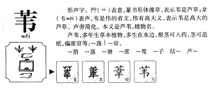 苇字字源字形