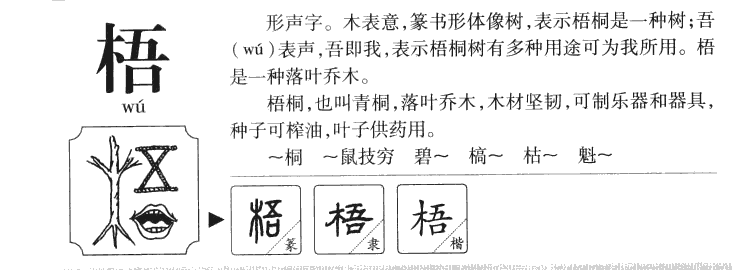 梧字字源字形