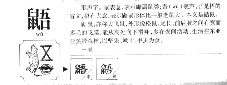鼯字字源字形