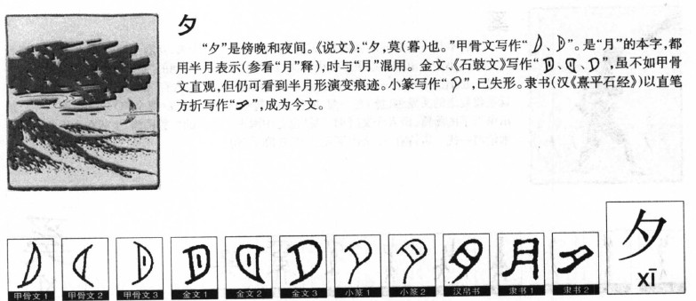 夕字字源字形