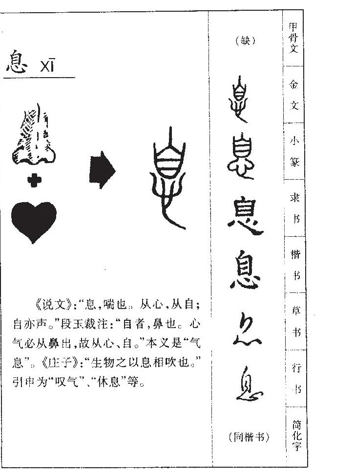 息字字源字形