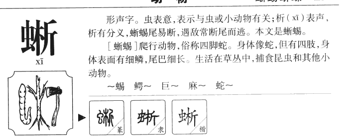 晰字字源字形