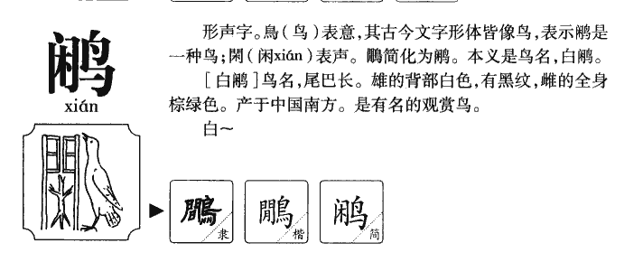 鹇字字源字形
