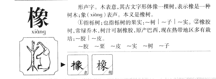橡字字源字形
